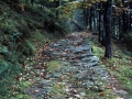 Gorosmendi