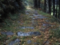 Gorosmendi
