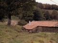 Irintxi  Borda(Ilintza)