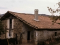 Irintxi  Borda(Ilintza)