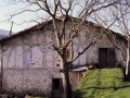 Barrenetxea