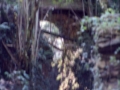Gangako iturria
