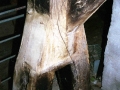 Meaka