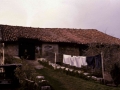 Sagastiberria