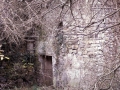 Arrosi III