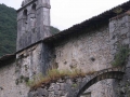 Sasiola