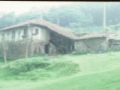Sindika