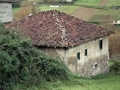 Sindika