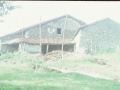 Olauni