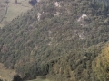Salbatore
