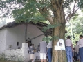 Salbatore