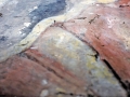 San Migel Goiaingerua II