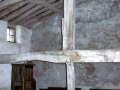 San Roman