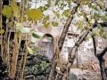 Ezkaregi