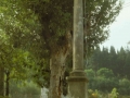 Gurutzekari (Arg: 1)