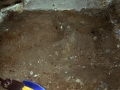 Orbe Soraen