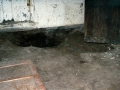 Orbe Soraen