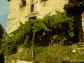Zozola (Sosola) (Arg: 5)