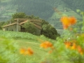 Zozola (Sosola) (Arg: 7)