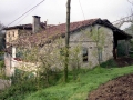 Zozola (Sosola)