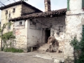 Zozola (Sosola) (Arg: 13)