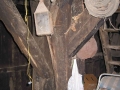 Kutunegieta Goengua (Guenetxea Goikoa)