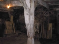 Kutunegieta Goengua (Guenetxea Goikoa)