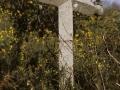 Santa Krutz (kalbarioa)