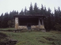 Goenaga