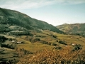 Sallobente