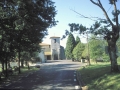 San Pedro