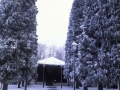 San Roke