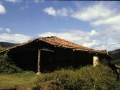 Gorotsarri