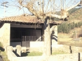 Aingeru Guardakoa (Arg: 9)