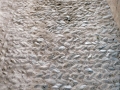 Ikuztegia