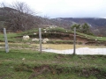 Alabitarte