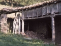 Zubitxo
