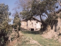 Barrensoro