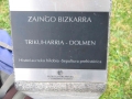 Zaingo Bizkarra