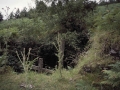 Aldura