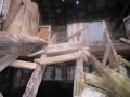 Tolare