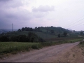 Ametza