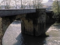 Aliri
