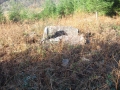 Landarbaso I (Arg: 2)