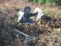Landarbaso I (Arg: 3)