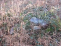 Landarbaso II (Arg: 3)