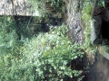 Agirre errota