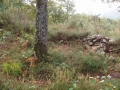 Arkutxa (Arg: 2)