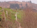 Aitzazate I (Arg: 1)