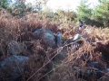 Landarbaso III (Arg: 2)